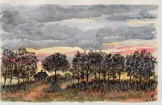 Floresta escura (2187)