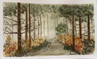 Caminho da bruma (2204)