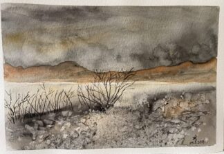 Chuva no deserto (2205)