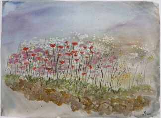 Papoulas no campo (2211)