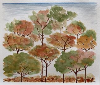 Folhas no chão (2322)