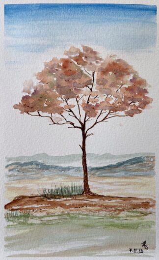 Árvore solitária (2637)