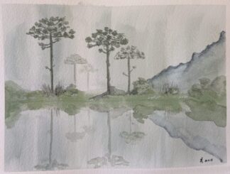 Araucárias na bruma (2642)