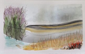 Deserto inspirador (2657)