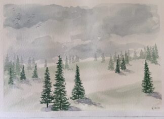 Coníferas verdes (2836)