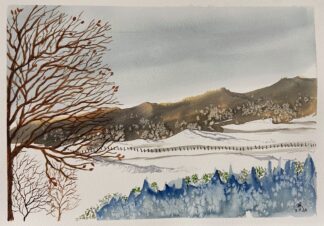 Cristais na neve (2973)