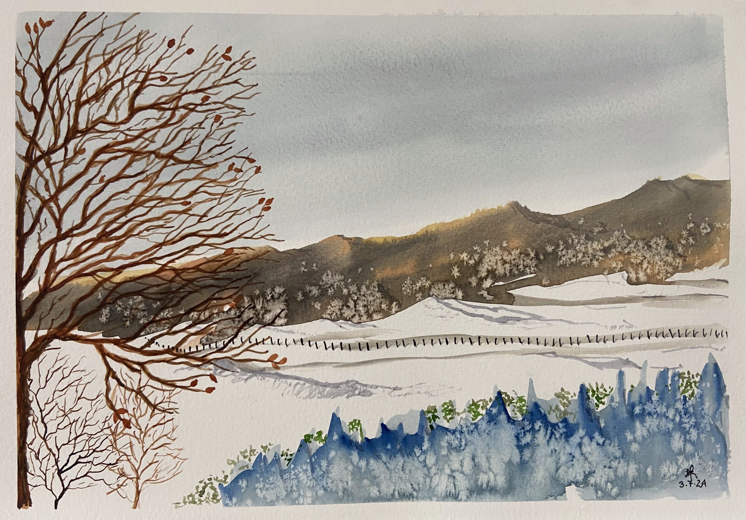 Cristais na neve (2973)