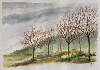 Caducas no inverno (3019)