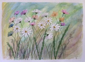 Silvestres e margaridas (3452)