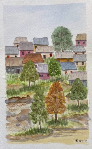 Casinhas no morro (3879)