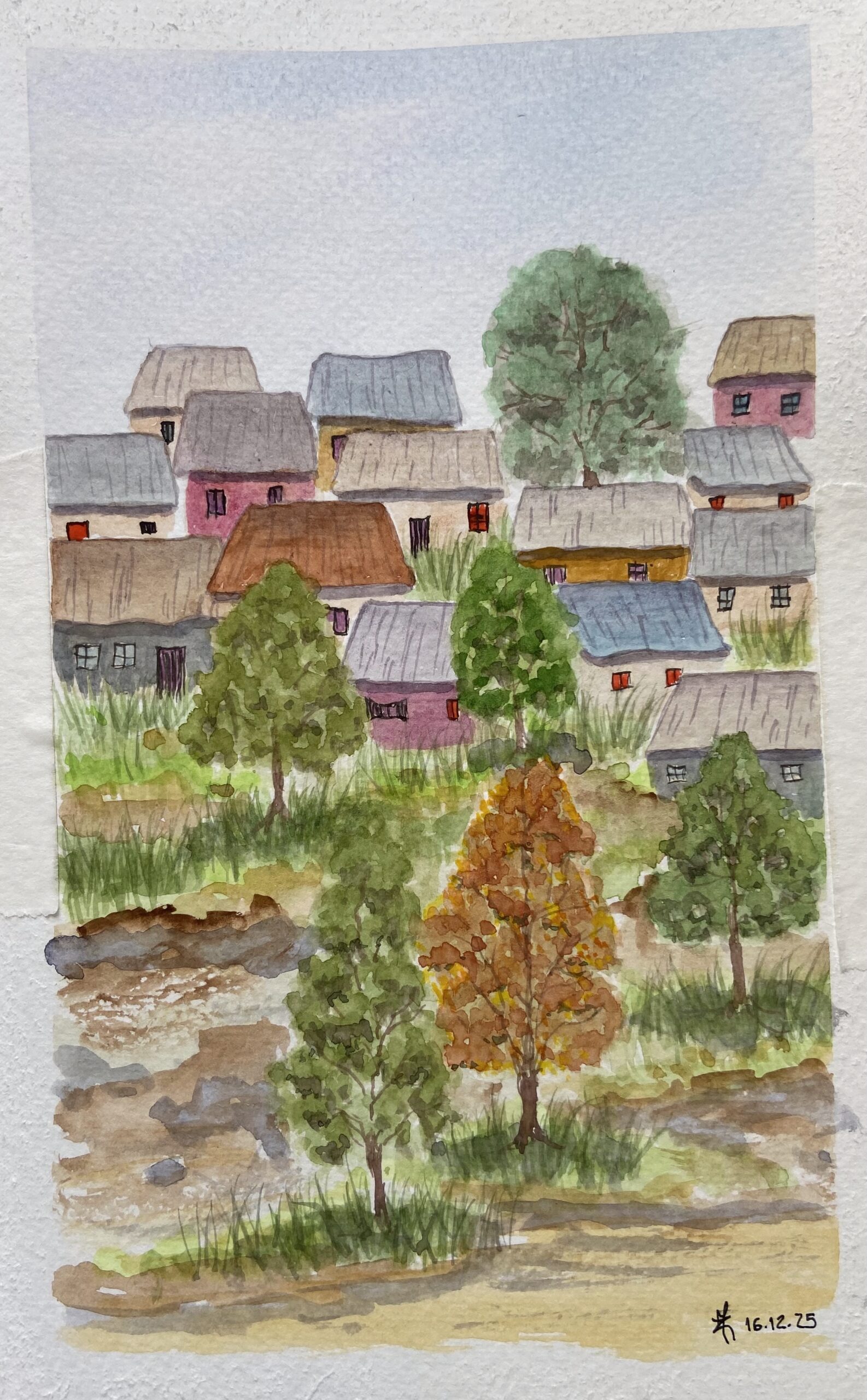 Casinhas no morro (3879)