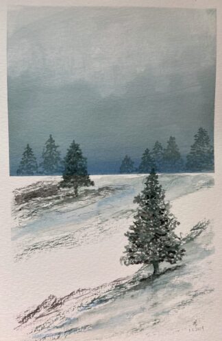 Campo de neve (3885)